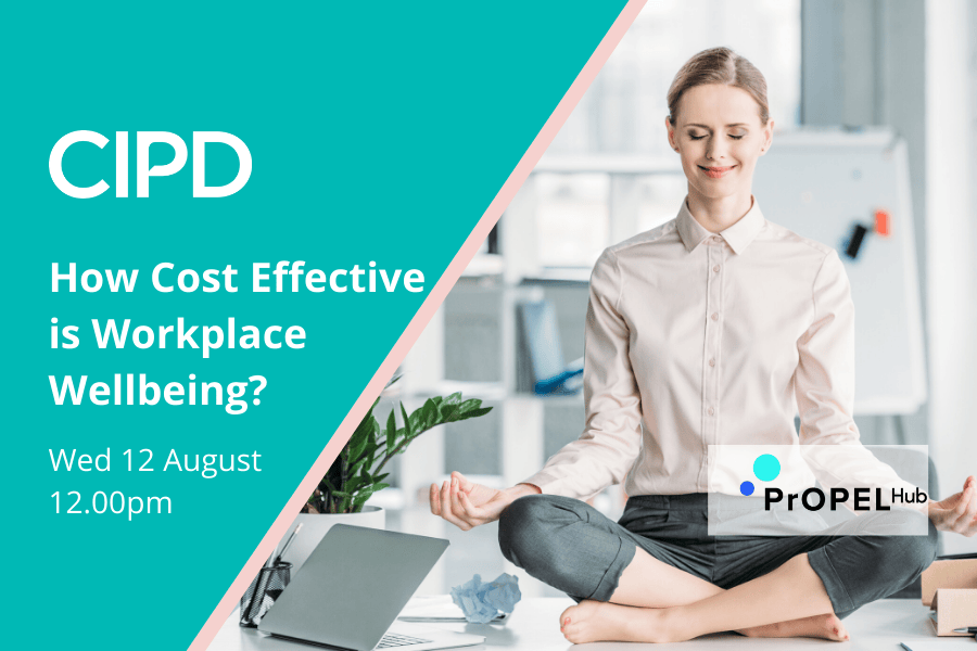 How Cost Effective is Workplace Wellbeing?